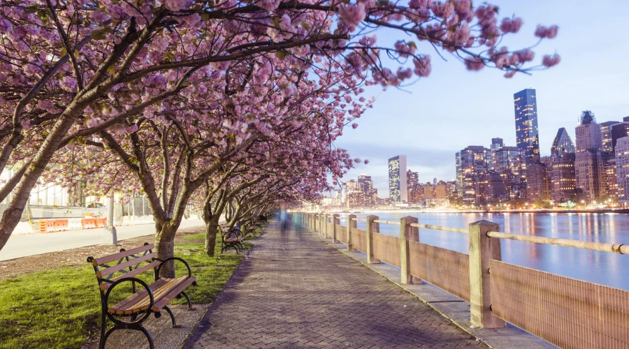 Spring in New York City