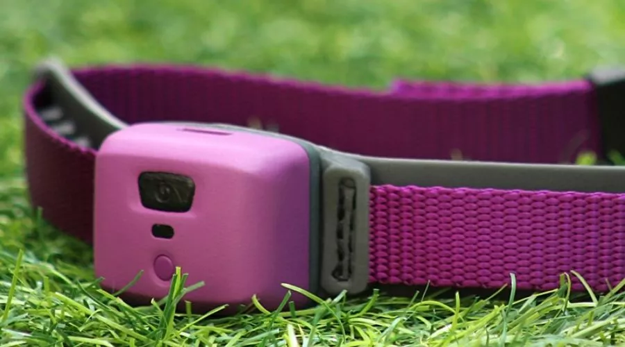 PetPace Smart Collar