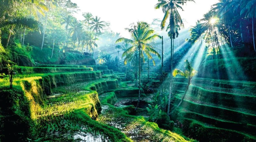 Sunshine and rainfall in Bali