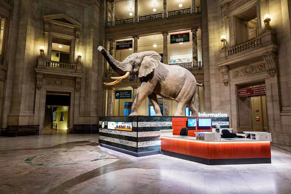 best museums in DC