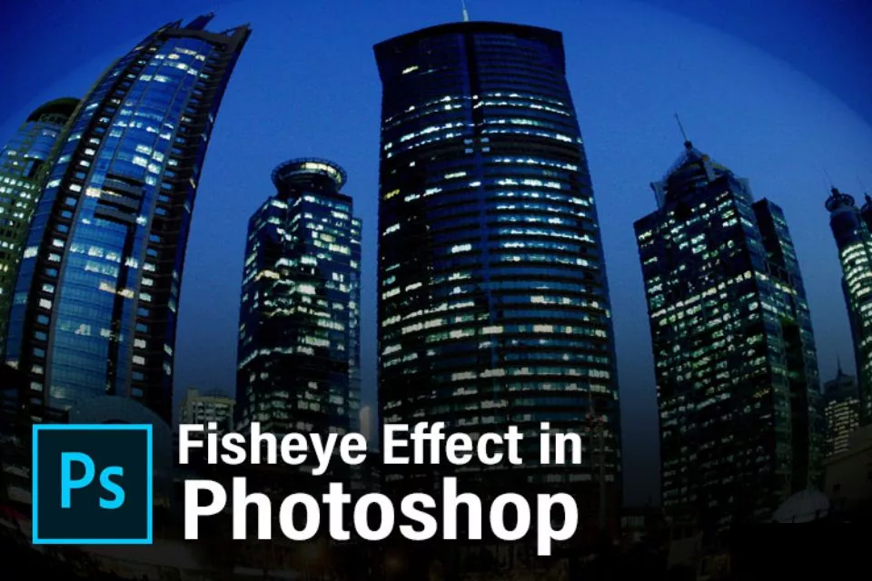 Fisheye Effect