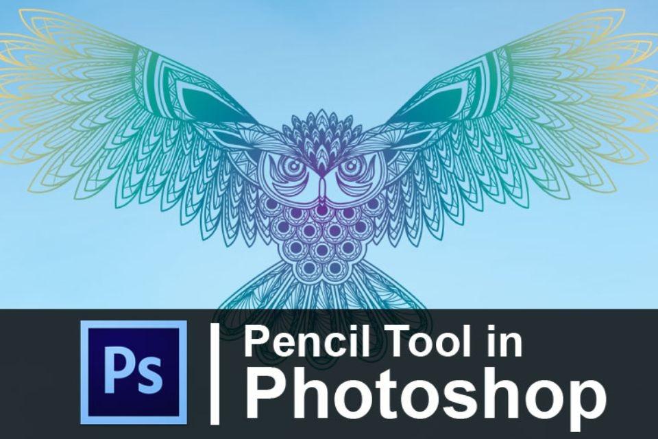 pencil Tool photoshop