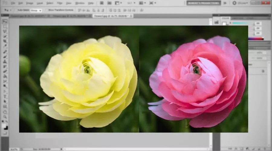 How to use the Color match tool