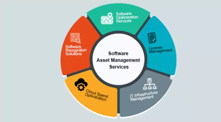 What is Software Asset Management?