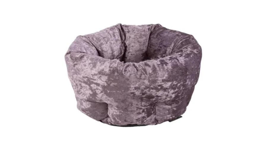 Scruffs Pet Bed Velvet Purple