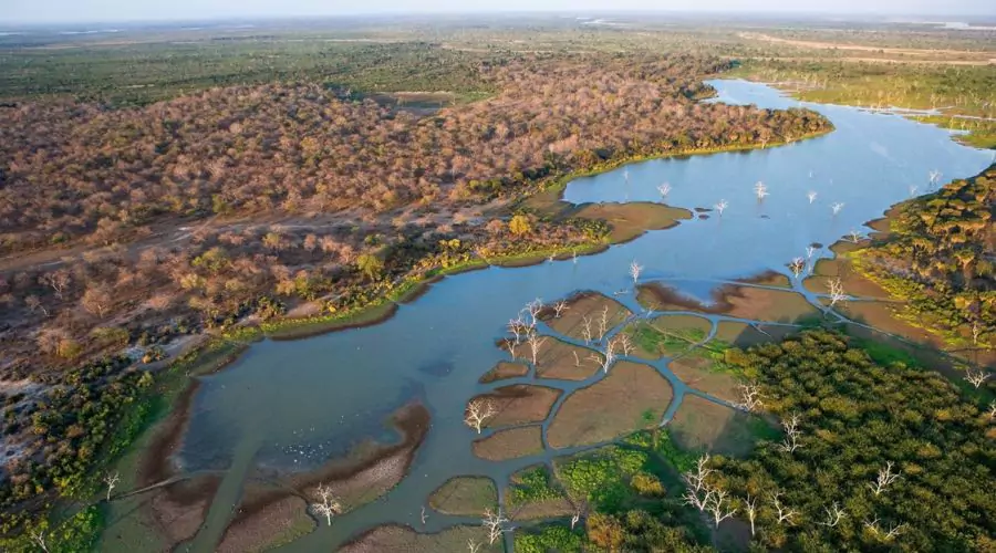 The Okavango Delta: A Water Wonderland