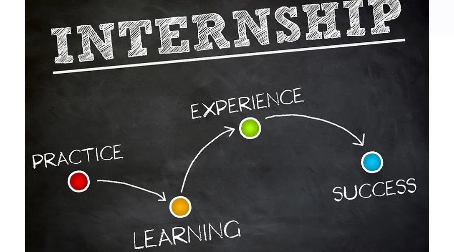 Internships and Practical Experience | trendincult 