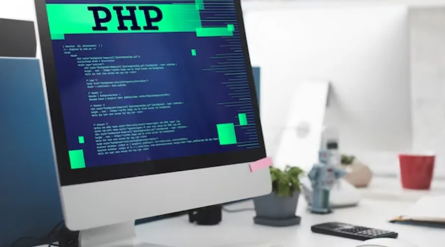 What is PHP Hosting