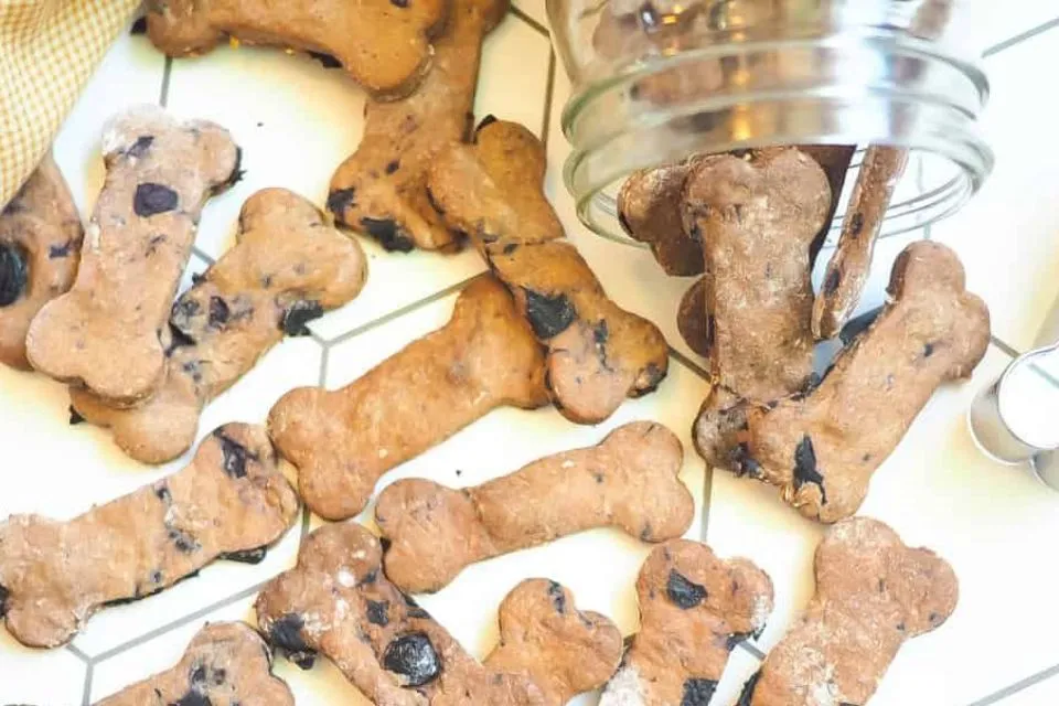 Healthy Snacks For Dogs
