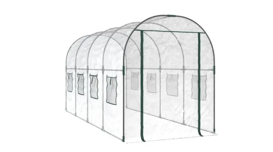 Garden Greenhouse PVC and Powder Coated Steel Transparent