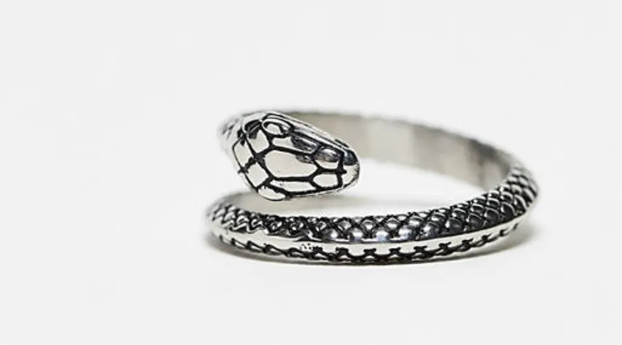 ASOS DESIGN Waterproof Stainless Steel Ring with Snake Design