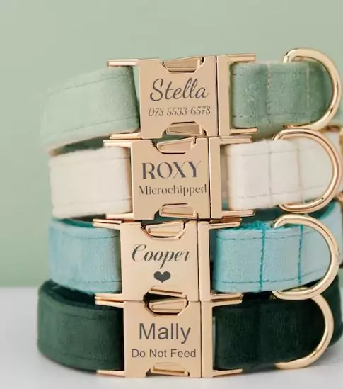 Multiple Colour Velvet Personalised Dog Collar Leash Set with Bow