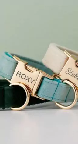 Multiple Colour Velvet Personalised Dog Collar Leash Set with Bow