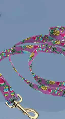 Summer-Themed Handmade Dog Collar, Custom Personalized Pet Name