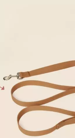 Woodland Forest Dog Collar, Engraved Dog Collar