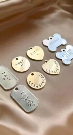 Personalized Pearl Chain Dog Collar with Tag